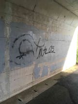 橋の下コンクリート壁に落書き、汚損