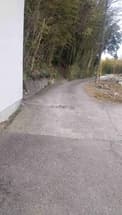 路面損傷