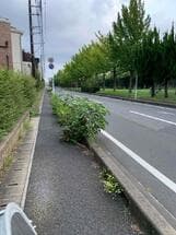 除草お願いします