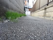 舗装盛り上がり