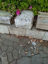 タバコゴミ