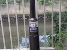 街路樹の倒木あり