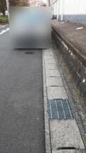路上に投棄されて散乱したゴミ