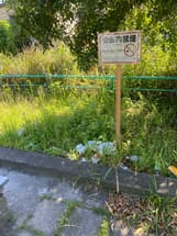 公園の奥にゴミがたくさん放置されています