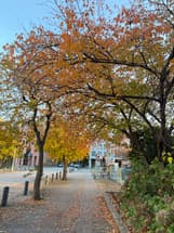 打瀬図書館の前通った時、とてもきれいです。