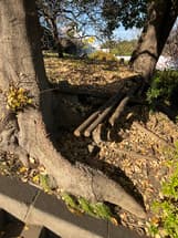 公園内土留めの損壊