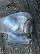 蘇我公園の隣接道路と公園内のゴミ