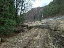 地ごく谷上田線　倒木による通行障害