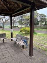 宮野木中央公園　忘れ物