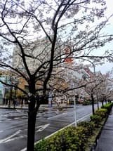 千葉みなと駅前