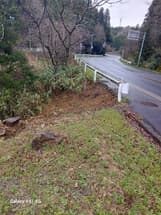 フルーツライン際が、イノシンに掘られている。