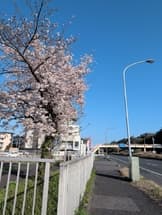 渋滞のいやしに