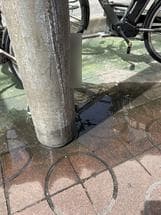 電柱際から水が染み出しています。