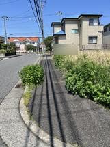 草の剪定のお願い