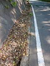 側溝の落ち葉の堆積について