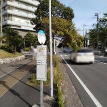 枝葉が広がり、自転車での通行に支障あり
