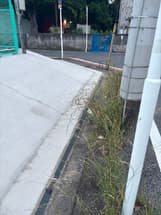 電柱の草むらにゴミ