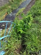 (一級河川)小野川ブロック積裏側の洗掘