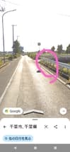 道路脇の雑草、樹木に発育