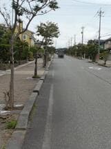 しらさぎの里