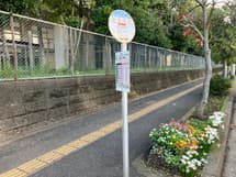 勝手植え