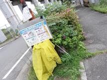 新幹線付属街路　低木剪定