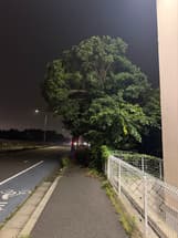 歩道が通行できない