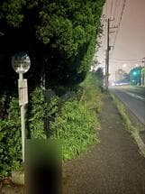 歩道が歩けない