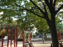 中食満公園　垂れ下がり下枝剪定