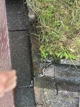 てんとう虫公園と住民宅の間の道、溝の修理
