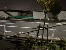 添木が倒れて危ないです